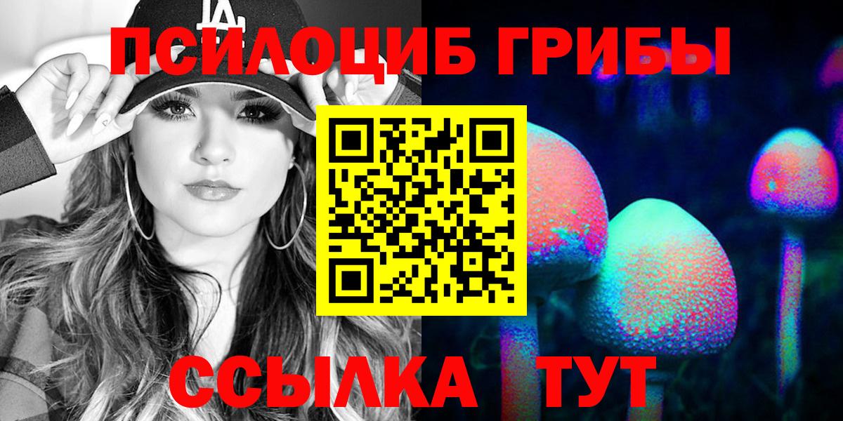 Грозный  Псилоцибиновые грибы Psilocybe  Галлюциногенные грибы Psilocybe  Вход с VPN 