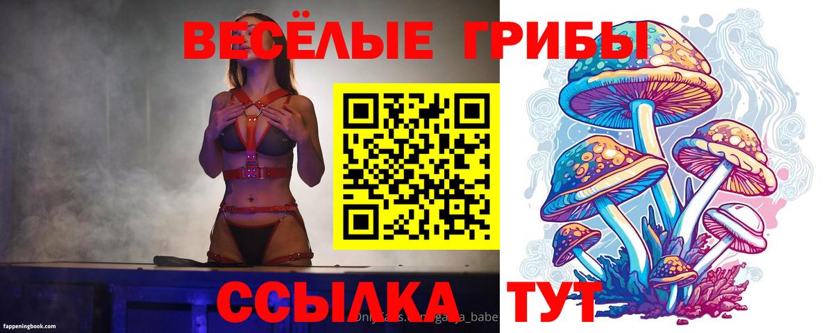 Галлюциногенные грибы прущие грибы Грозный
